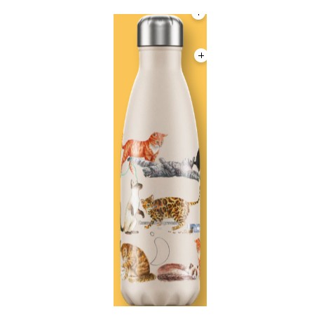 BOTTIGLIA CHILLY'S INOX TOAST EMMABRIDGEWATER